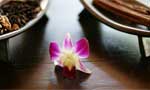 三亚财(cái)富海(hǎi)湾(wān)大酒店SPA中(zhōng)心